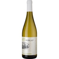 Borgaio Vermentino, Toscana IGT, Toskana, 2024, Weißwein