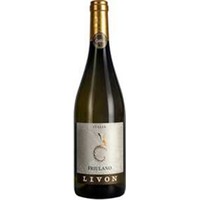 Friulano Collio