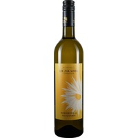 Grüner Veltliner Weinv. DAC Ried Rosenberg trocken Bio - Weingut Tor zur Sonne