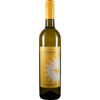 Welschriesling trocken Bio - Weingut Tor zur Sonne