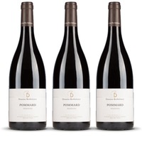 Berthelemot Pommard Noizons Rouge (bio) Burgund