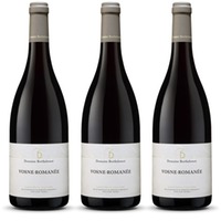 Domaine Berthelemot Vosne Romanée Rouge (bio) Burgund