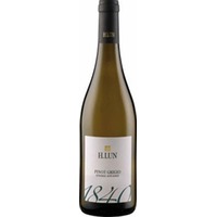 H. Lun Pinot Grigio DOC Südtirol trocken, fruchtig & elegant