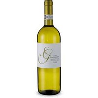 Gavi