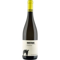 San Salvatore Trentenare Fiano, Paestum IGP, Kampanien, 2024, Weißwein