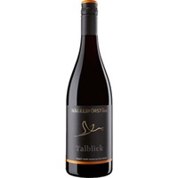 Talblick Bühlertal Pinot Noir Alte Reben, Trocken, Baden, Baden, 2019, Rotwein