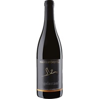 Weingut Nägelsförst Engelstaub Pinot Noir, Trocken, Baden, Baden, 2019, Rotwein