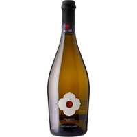 Prosecco Frizzante DOC trocken - Cantina Rechsteiner