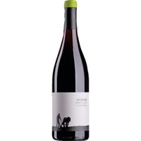 Tradition Pinot Noir, Trocken, Pfalz, Pfalz, 2023, Rotwein