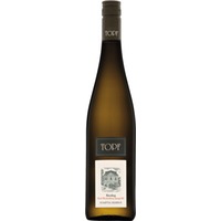 Ried Wechselberg Spiegel Riesling Reserve Kamptal