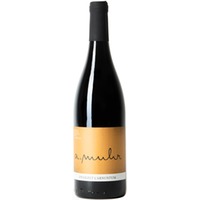 Carnuntum DAC Zweigelt - Weingut Andreas Muhr
