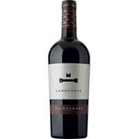 Negroamaro Salento IGP - Masseria Capoforte