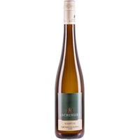 Schönberg Grüner Veltliner Löss trocken - Weingärtnerei Maximilian Aichinger
