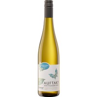 Auftakt Souvignier Gris trocken - Weingut Abthof