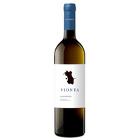 Vionta