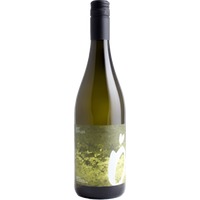THÖRLBERG Rotgipfler - Weingut Österreicher
