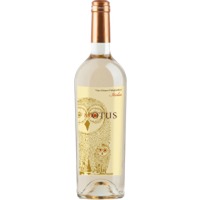 Vino Bianco Enigmatico Varietale d'Italia | Asio Otus