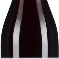 Pinot Noir Block 5