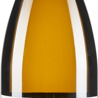 Sauvignon Blanc