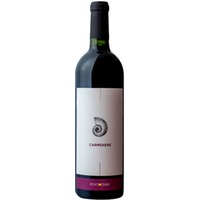 Carmenere Veneto IGP - Punto Zero