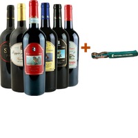 Fattoria Uccelliera Rotwein-Kennenlern-Paket - Fattoria Uccelliera