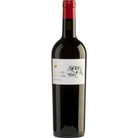 Palazzo Malgara Primitivo, Puglia IGP, Apulien, 2023, Rotwein