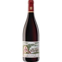 Grünhäuser Pinot Noir 1G, Trocken, Mosel, Mosel, 2023, Rotwein