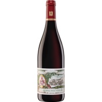 Abtsberg GG Pinot Noir, Trocken, Mosel, Mosel, 2023, Rotwein