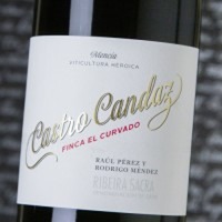 Castro Candaz Finca El Curvado