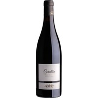 José Antonio García Viticultor Corullón Vino de Villa