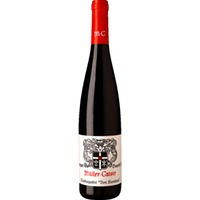 Spätburgunder vom Kieselstein, Trocken, Pfalz, Pfalz, 2022, Rotwein