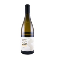 António Madeira Branco