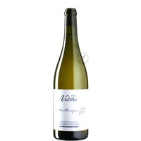 Müller-Thurgau