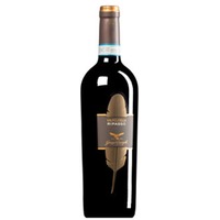 Valpolicella Classico Superiore Ripasso DOC
