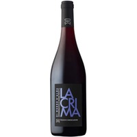 Lacrima di Morro d'Alba DOC - Federico Mencaroni