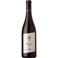 Pinot Nero Trentino DOC - Cantina Aldeno