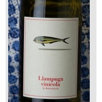 4 Kilos Llampuga Vinicola